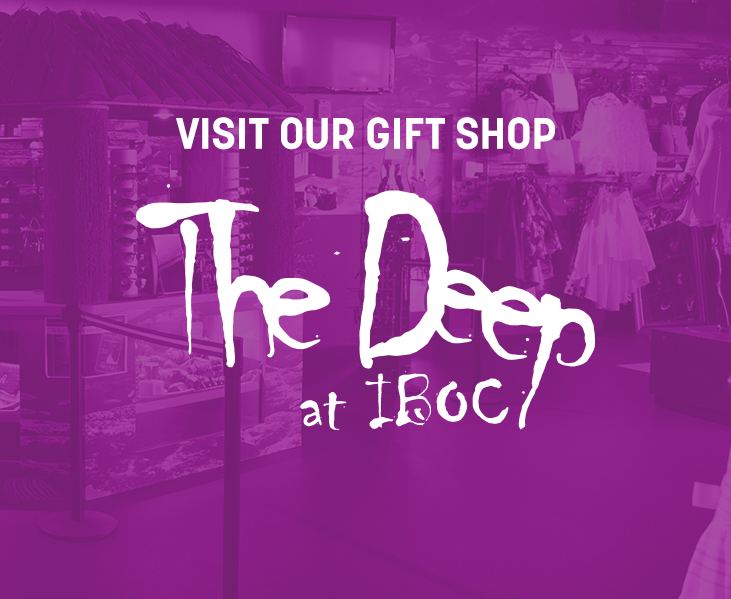 A gift shop with a dark purple tint. White text over the image says, Visit our gift shop, The Deep, at IBOC